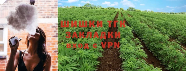 стафф Новодвинск