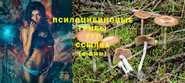 эйфоретик Нефтекумск