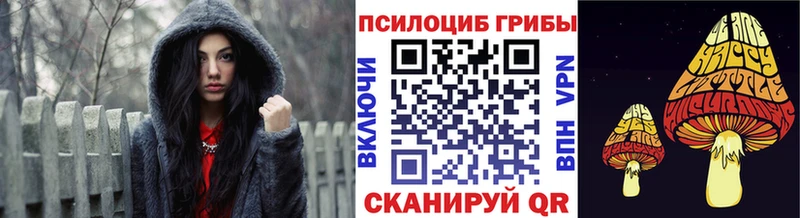 Псилоцибиновые грибы Psilocybine cubensis  Отрадное 
