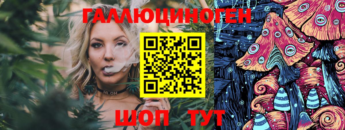 Галлюциногенные грибы Psilocybine cubensis  Вход с VPN  Отрадное 