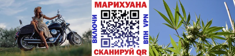Каннабис сатива  наркотики  Отрадное 